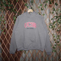 XL-VintageY2K UCSD Santa Barbara university embroider hoodie