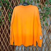 Vintage Y2K gecko Hawaii 1990s flame surf skate LS T-shirt