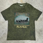 Vintage / Y2K tie dye tourist tee 1990s alaska single stitch t-shirt
