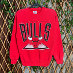 Vintage Y2K Chicago Bulls 1990s jordan rodman nba sweatshirt
