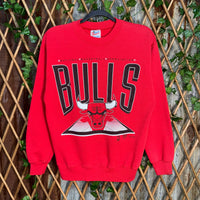Vintage Y2K Chicago Bulls 1990s jordan rodman nba sweatshirt