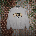 Medium VintageY2K UCSD university Santa Barbara 1990s hoodie