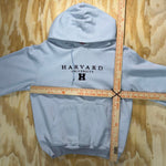 Vintage y2k harvard university embroidered champion hoodie