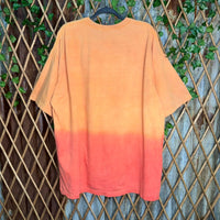 Vintage Y2K flame dragon surfboard tie-dye 00s skate t-shirt