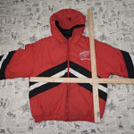 Large - Vintage / Y2K Detroit Red Wings Reversible jacket