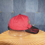 OSFA - Vintage Y2K NASCAR racing embroidered flame 2000s hat