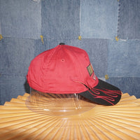 OSFA - Vintage Y2K NASCAR racing embroidered flame 2000s hat