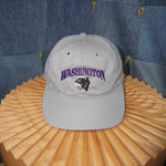 OSFA - Vintage Y2K Washington Panthers logo embroider hat