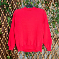 Vintage Y2K Chicago Bulls 1990s jordan rodman nba sweatshirt
