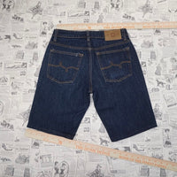 28 - Vintage / Y2K LRG skate denim shorts jean JORTS 00s
