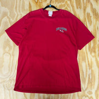 Vintage y2k fresno state champion university t-shirt