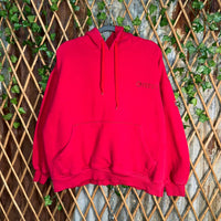 Vintage Y2K south Pole embroider 2000s hip hop heavy hoodie