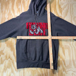 Vintage Y2K Fresno State University collegiate heavy hoodie