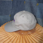 OSFA - Vintage Y2K Washington Panthers logo embroider hat