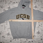 Medium VintageY2K UCSD university Santa Barbara 1990s hoodie