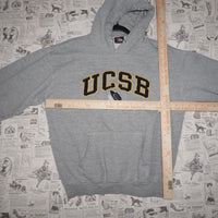 Medium VintageY2K UCSD university Santa Barbara 1990s hoodie