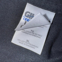 Vintage y2k green day american idiot album promo t-shirt