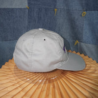 OSFA - Vintage Y2K Washington Panthers logo embroider hat