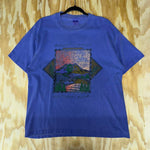 Vintage y2k mount rainer national park distressed t-shirt