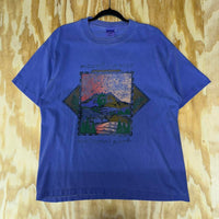 Vintage y2k mount rainer national park distressed t-shirt
