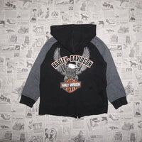 6 - Vintage Y2K Harley Davidson embroider 2000s biker hoodie