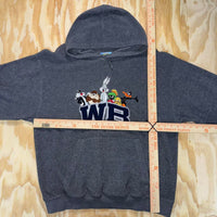 Vintage y2k warner bros 90s looney tunes embroidered hoodie