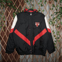 Large -Vintage Y2K Chicago Bulls embroider nba starter jacke