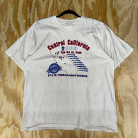 Vintage y2k central california 2000 cal ripken baseball tee