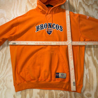Vintage Y2K Denver Broncos football NFL 90s embroider hoodie