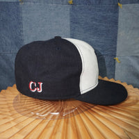 7 - Vintage Y2K Los Angeles Dodgers 4th of july new era hat