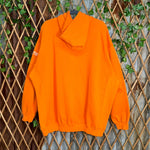 Vintage Y2K Denver Broncos football NFL 90s embroider hoodie