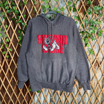 Vintage Y2K Fresno State University collegiate heavy hoodie