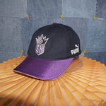 OSFA - Vintage Y2K  Sacramento Kings embroider NBA 2000s hat