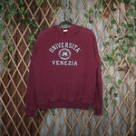 Vintage Y2K Universita Venezia College 2000s faded hoodie
