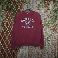 Vintage Y2K Universita Venezia College 2000s faded hoodie