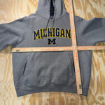 Vintage Y2K Michigan university arc collegiate 2000s hoodie