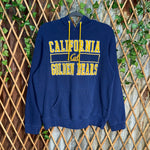 Vintage Y2K California Golden Bears State University hoodie
