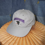 OSFA - Vintage Y2K Washington Panthers logo embroider hat