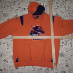 Large - Vintage Y2K Boise state university embroider hoodie