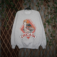 XL - Vintage Y2K Nba chicago bulls beyond rim 1990s crewneck - Gray - XL