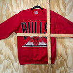 Vintage Y2K Chicago Bulls 1990s jordan rodman nba sweatshirt