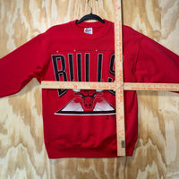 Vintage Y2K Chicago Bulls 1990s jordan rodman nba sweatshirt