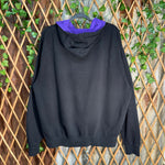 Vintage Y2K Washington Huskies embroider collegiate hoodie