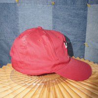 OSFA - LASSEN farm raisin trays essential embroidered hat