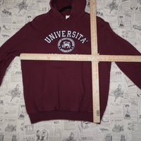 Vintage Y2K Universita Venezia College 2000s faded hoodie