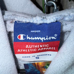 Vintage y2k harvard university embroidered champion hoodie