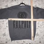 Medium-Vintage Y2K cal poly University crest 90s sweatshirt