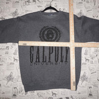Medium-Vintage Y2K cal poly University crest 90s sweatshirt