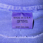 Vintage y2k mount rainer national park distressed t-shirt